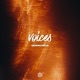 Voices Single