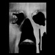 Rave Culture Ep