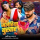 Malaria Bukhar Single