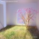 Fable of the Fairies Single