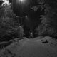Snowy Dream Single