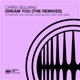 Dream You The Remixes