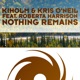 Nothing Remains feat Roberta Harrison Single
