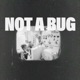 Not A Bug Single