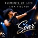 Soar feat Lisa Fischer