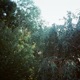 parula feat Ben Beal Single