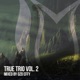 True Trio Vol 2 DJ Mix
