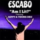 Am I Lit feat Rippy Young Dru Single