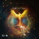 From the Ashes EP