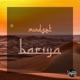 Bariya Single