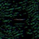The Code Single