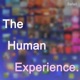 The Human Experience