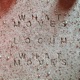 What Moves Locum Edit Single