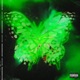 Metamorfosis EP