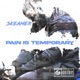 Pain Is Temporary Single