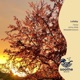 Lullaby Single