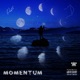 Momentum
