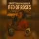 Bed of Roses Single