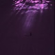 Falling Single