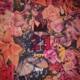 23 Single