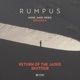 Hide and Seek Remixes EP