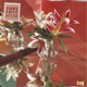 Soul Love Single