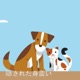 隠された身震い