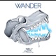 Wander Single