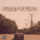 Grape Vine feat Malcolm Chester Tego Blue Mike Lightz Single