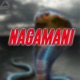 Nagamani Original Motion Picture Soundtrack Single