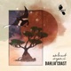 Dahlia Coast Ambient Organic EP