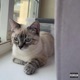 4EVER V1 feat lil sunder11 Single