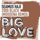 2000 Black Moodena Remix Single