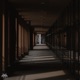 In the Shadows Single
