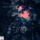 Mother Moonlight feat Dennis James Single