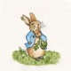 PETER RABBIT Remixes EP EP