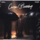 Curse Blessing Single