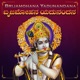 Brijamohana Yadunandana Single