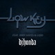 Low Key feat Andy Kayes Liqid Single