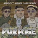 Purpose feat Lian2x Ler Mu Dex Single