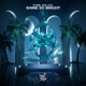 Shine So Bright Single