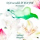 Nocturne Single