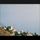 Texture De Tropicale Single