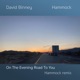 On the Evening Road To You Hammock remix Single