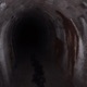 WANNA SEE UR BRAIN feat GOREOFFLINE Single