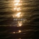 Shimmers Single