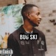 Bug Ski Single
