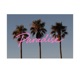 Paradise Single