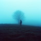 summer ambient Single