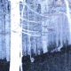hypothermia Single